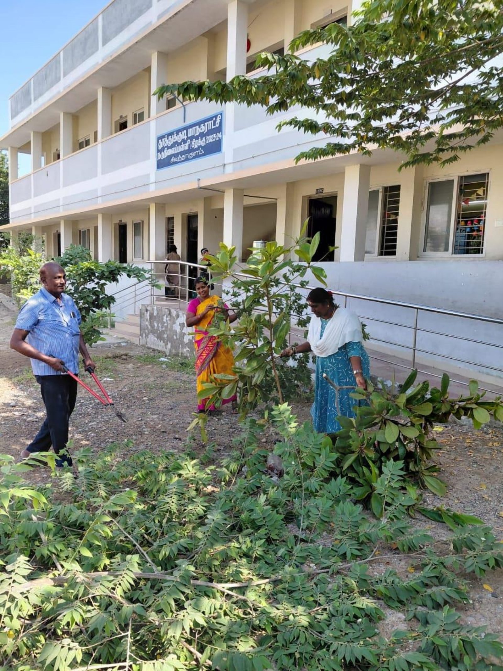 Tree planting drive