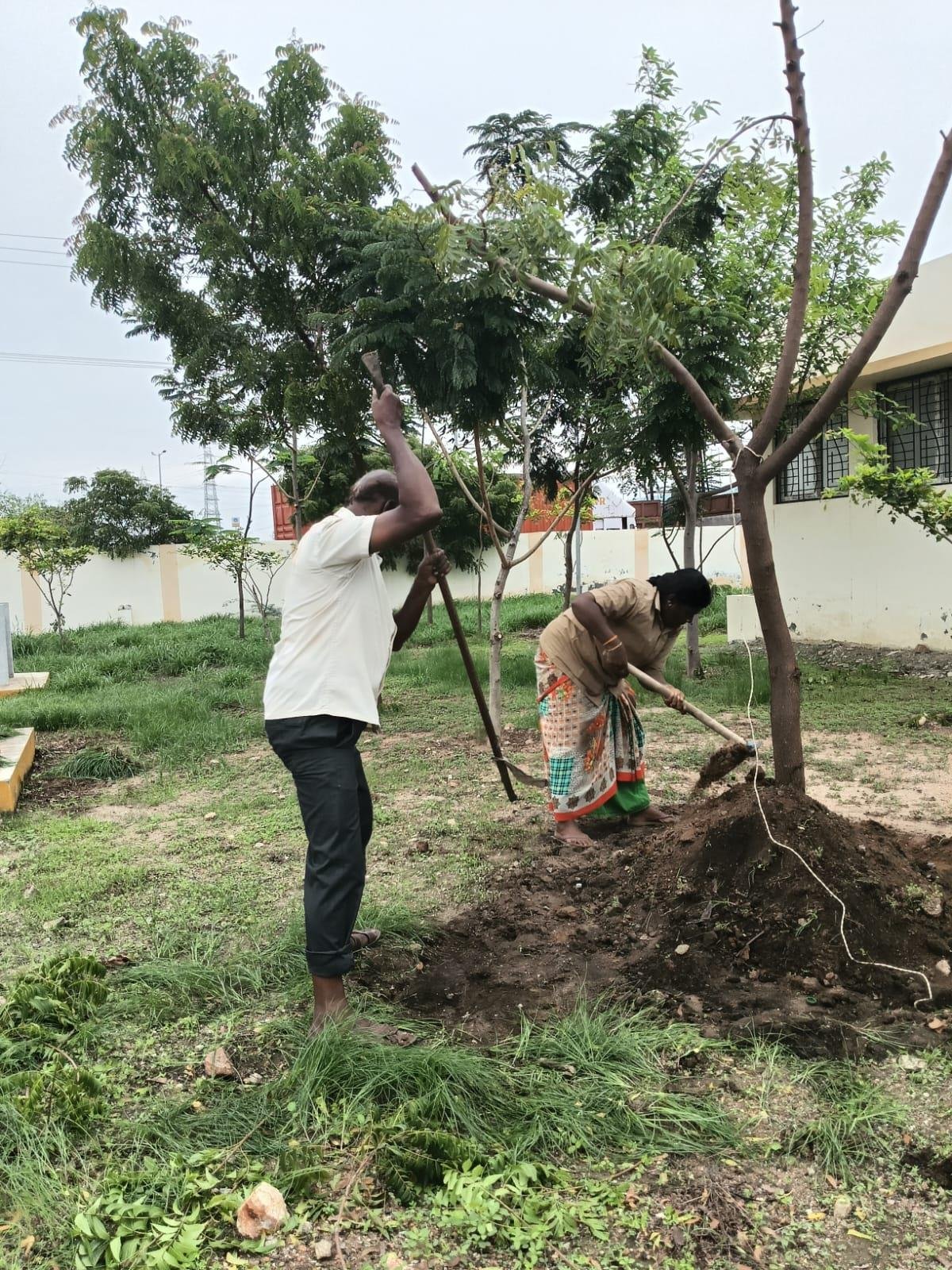 Community tree planting
