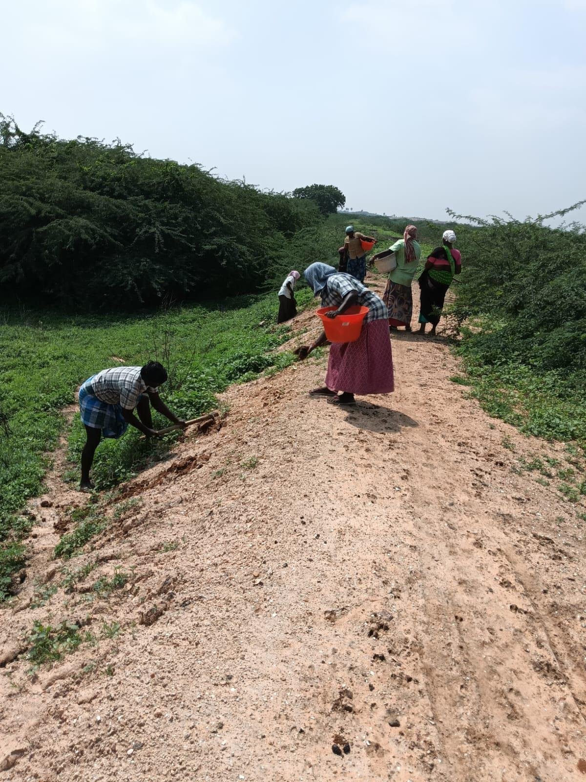 Volunteers preparing land