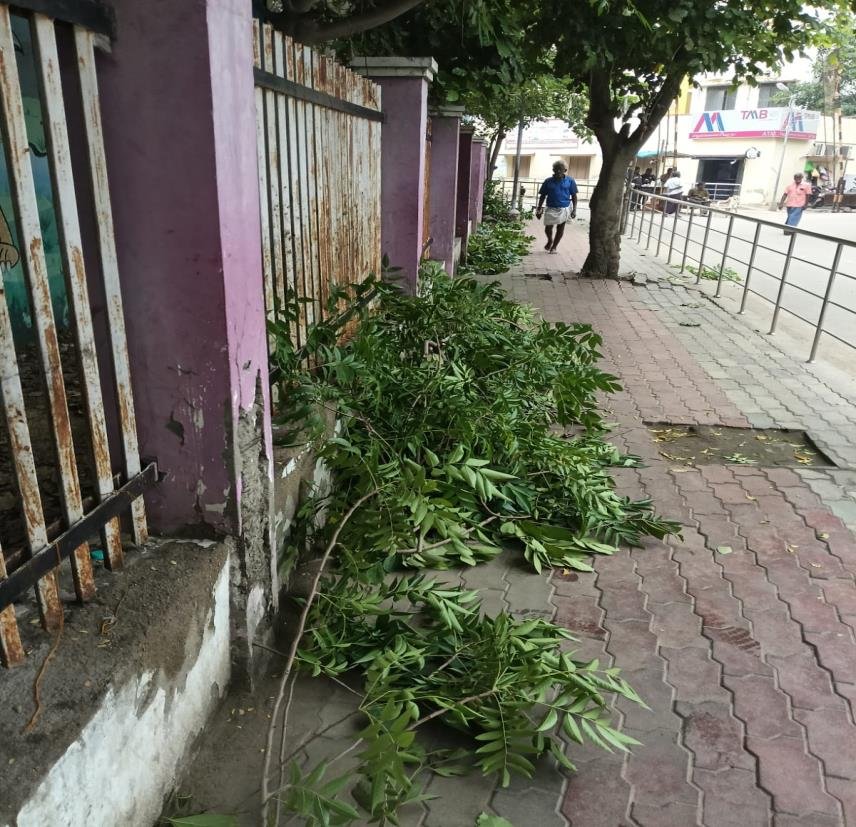 Clearing pruned branches from street
