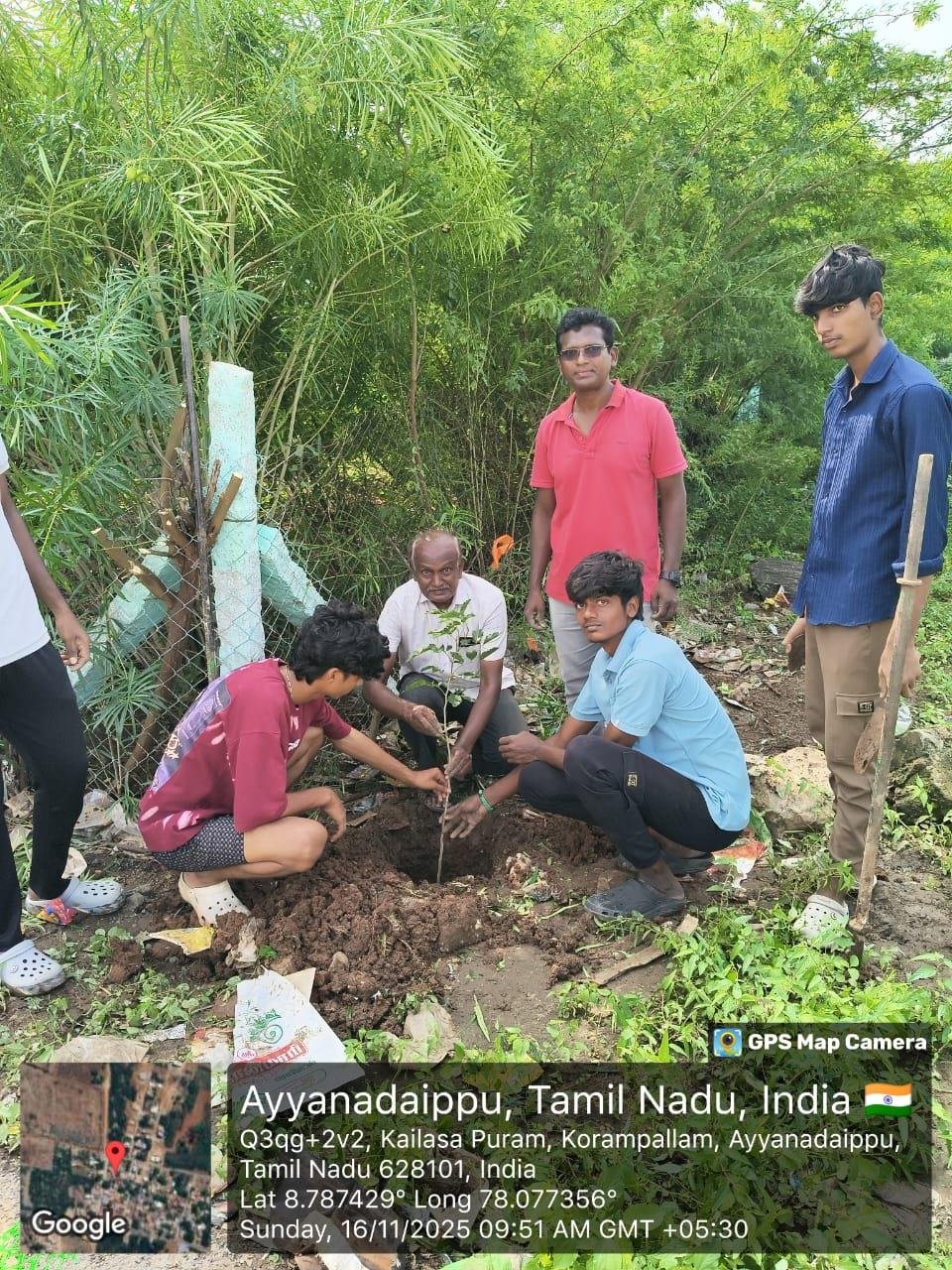 Tree planting at Ayyanadaippu