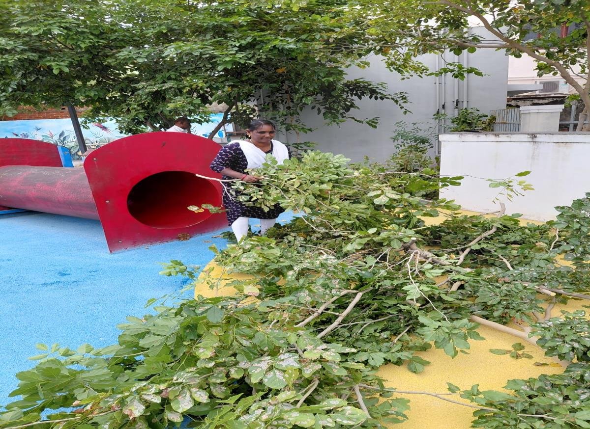 Clearing branches at playground