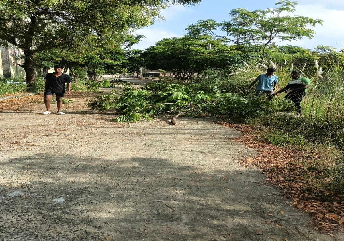 Volunteers clearing fallen tree branches