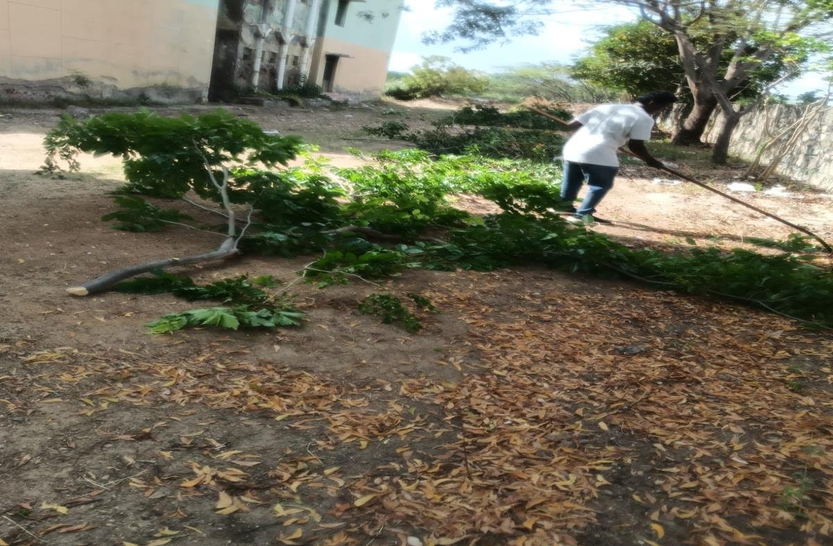 Gathering pruned branches for cleanup
