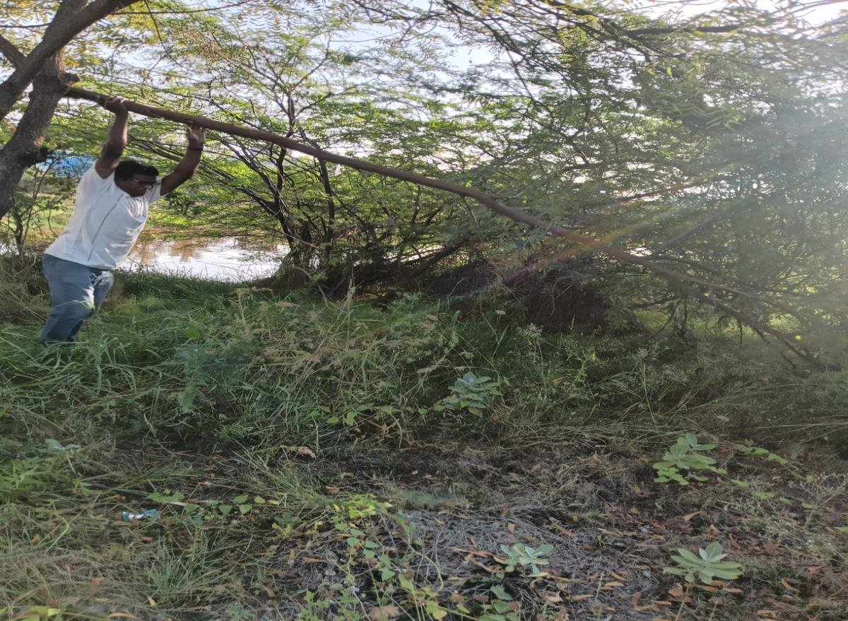 Clearing vegetation near water body