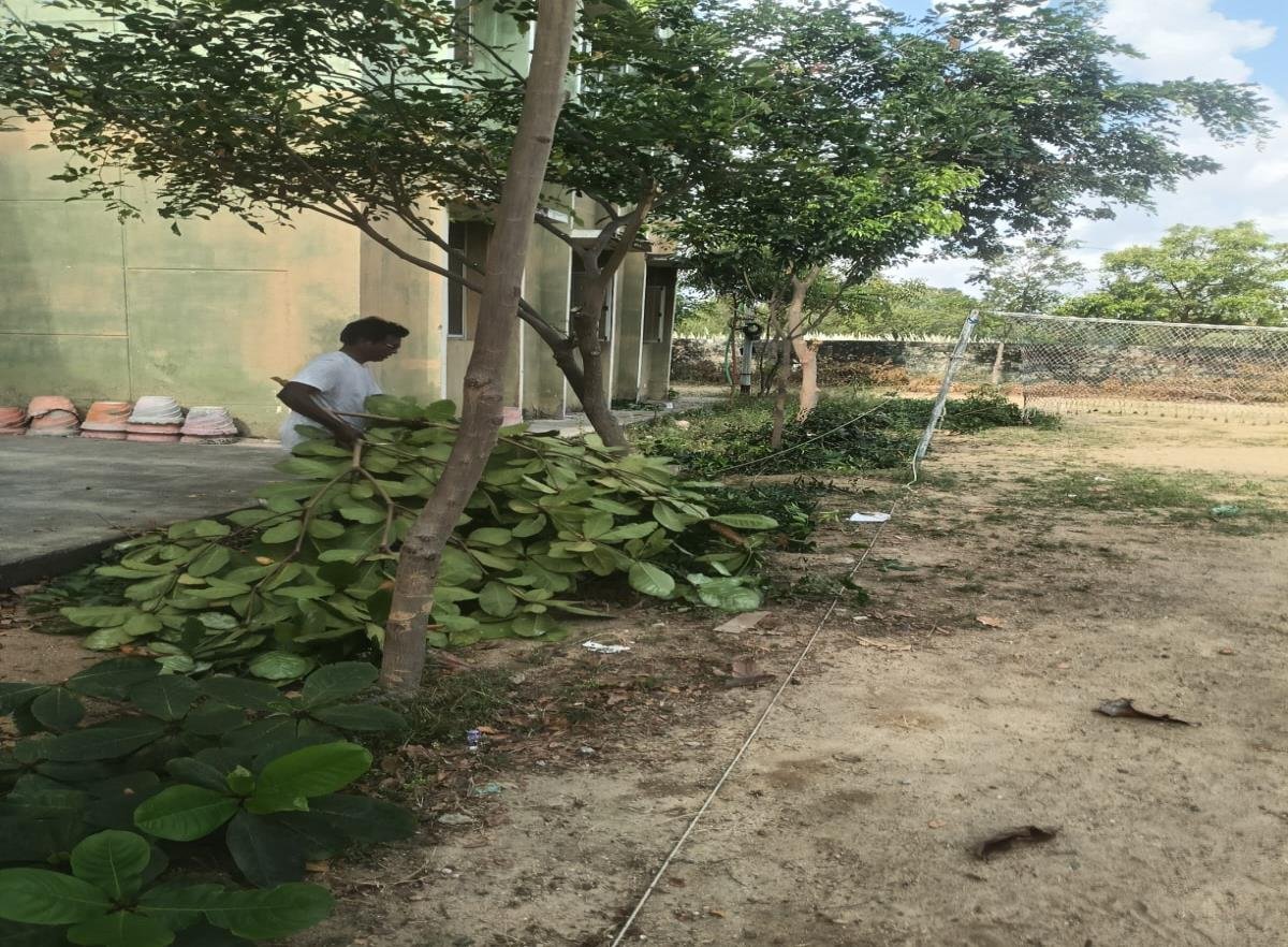 Campus grounds branch cleanup