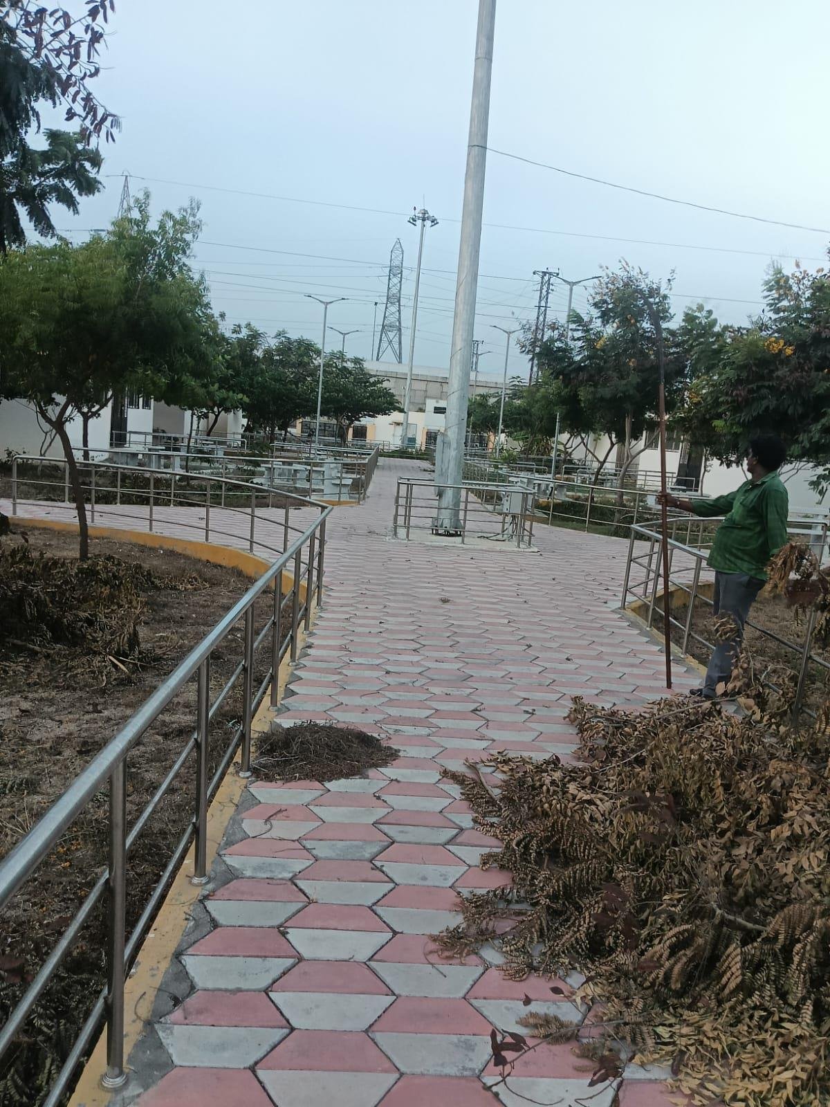 Walkway leaf and branch cleanup