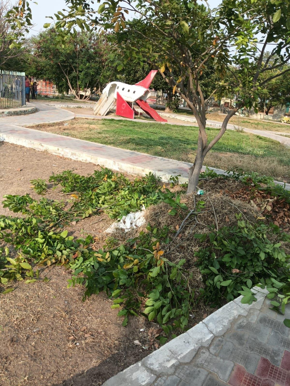 Playground tree pruning cleanup